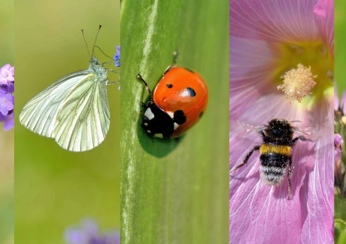 ATLAS de la Biodiversité, ABC