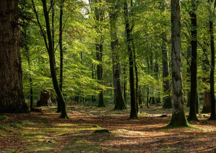 NATURA 2000